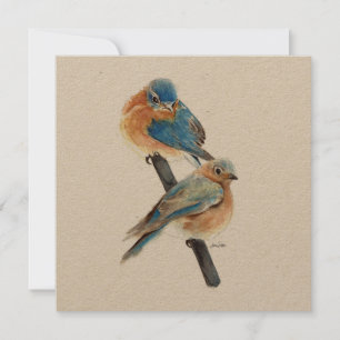 Bluebirds par vattenfärgsbilder