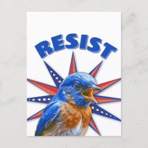 Bluebirds restvykort vykort