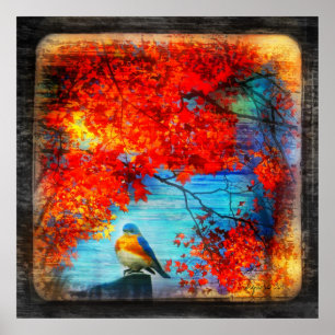 Bluebirds sång, affisch