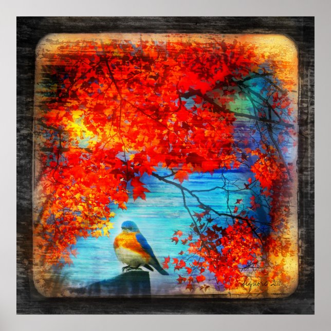 Bluebirds sång,poster poster (Framsidan)