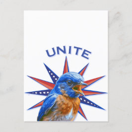 Bluebirds UNITE-vykort Vykort