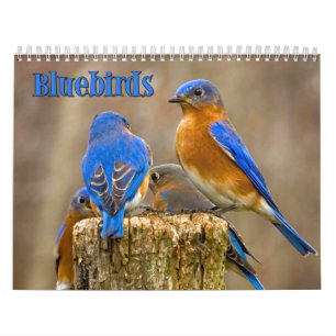 Bluebirdsväggkalender Kalender