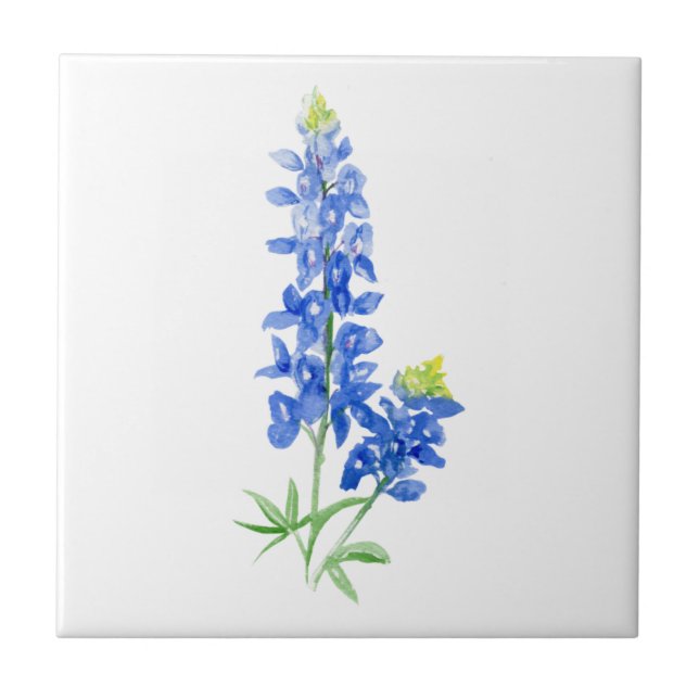 Bluebonnet 7 Ceramic Tile Kakelplatta (Framsidan)