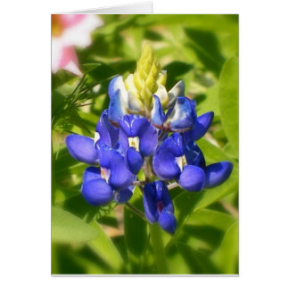 Bluebonnet av Texas Hälsningskort
