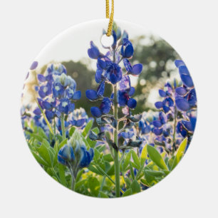 Bluebonnet Blåa blommor Texas Texan Lupine Julgransprydnad Keramik