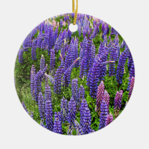 Bluebonnet Blåa blommor Texas Texan Lupine Julgransprydnad Keramik