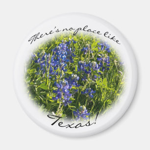 Bluebonnet "där är ingen den ställenågot magnet
