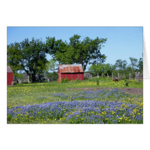 Bluebonnet Farm OBS Kort
