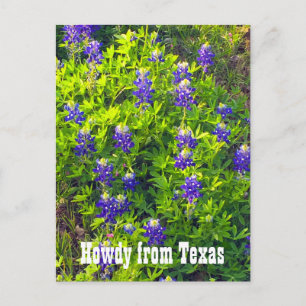 Bluebonnet Howdy från Texas Wildblommor Photo Vykort