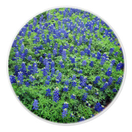 Bluebonnet Knob Knopp