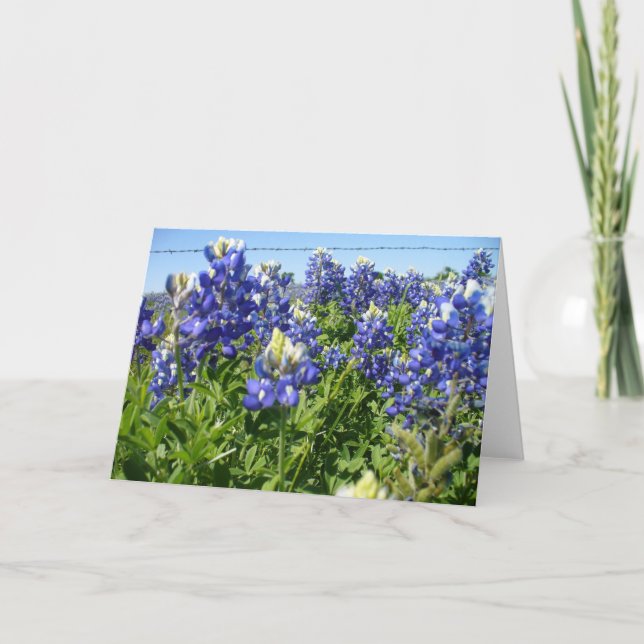 Bluebonnet Notecard Kort (Framsida)