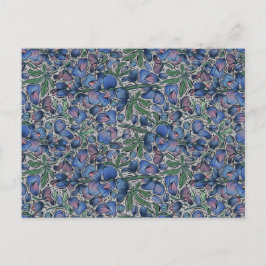 Bluebonnet Postcard Vykort