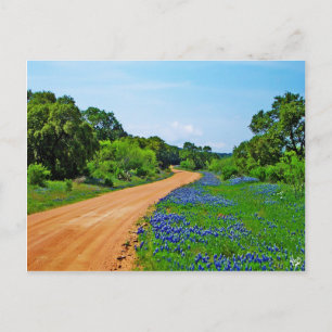 Bluebonnet Road, Willow City Loop, TX Vykort