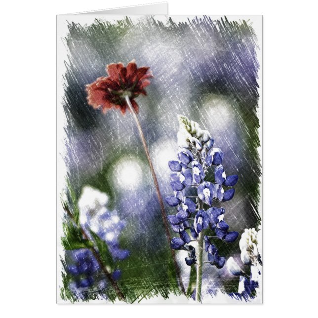 Bluebonnet skissar hälsningskort (Framsidan)