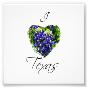 Bluebonnet, "som jag hjärta Texas" kvadrerar Fototryck