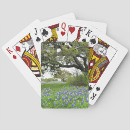 Bluebonnet som leker kort spel kort