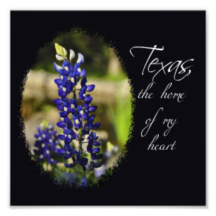 Bluebonnet "Texas, hemmet tryck av för min hjärt