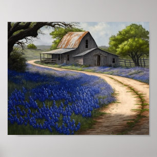 Bluebonnets and Old Barn in Texas Poster