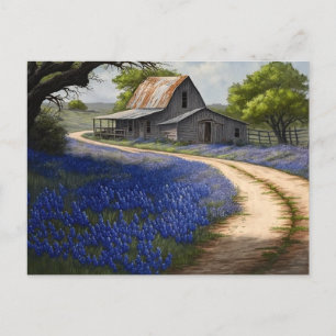 Bluebonnets and Old Barn in Texas Vykort