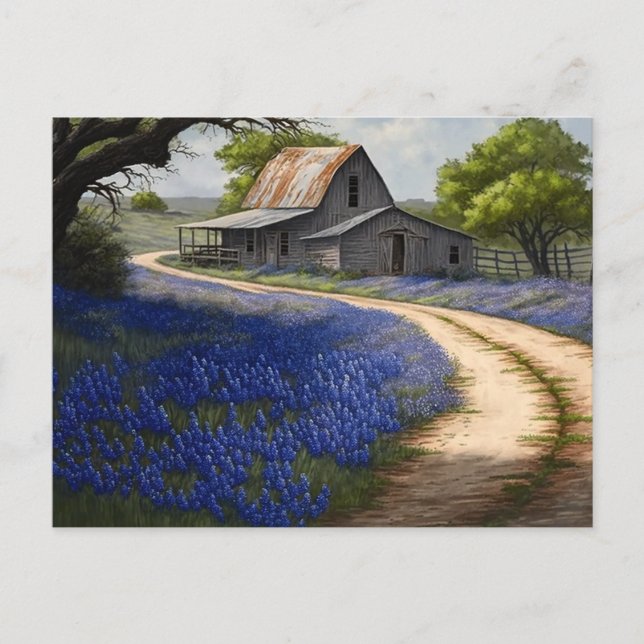 Bluebonnets and Old Barn in Texas Vykort (Framsida)