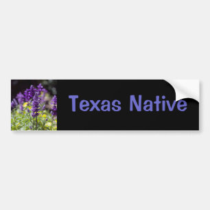 Bluebonnets Bildekal