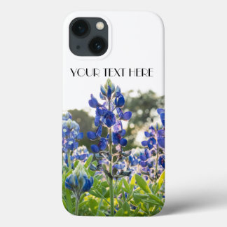 Bluebonnets Blåa blommor Texas Lupine Blommigt