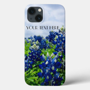 Bluebonnets Blåa blommor Texas Lupine Blommigt