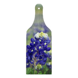 Bluebonnets Blåa blommor Texas Texan Blommigt