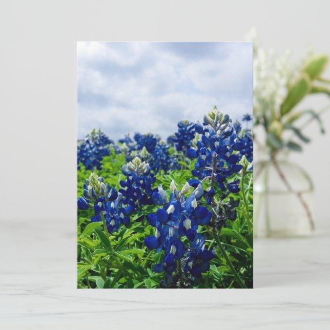 Bluebonnets Blåa blommor Texas Texan Blommigt Julkort (Stående Fram)