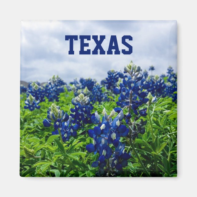 Bluebonnets Blåa blommor Texas Texan Blommigt Magnet (Framsidan)