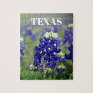 Bluebonnets Blåa blommor Texas Texan Blommigt Pussel
