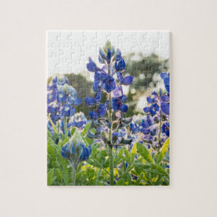 Bluebonnets Blåa blommor Texas Texan Blommigt Pussel