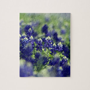 Bluebonnets Blåa blommor Texas Texan Blommigt Pussel