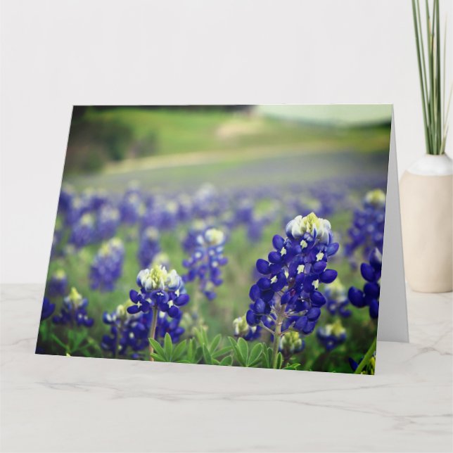 Bluebonnets Blåa blommor Texas Texan Blommigt Tack Kort (Framsida)