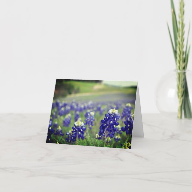 Bluebonnets Blåa blommor Texas Texan Blommigt Tack Kort (Framsida)