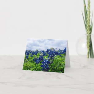 Bluebonnets Blåa blommor Texas Texan Blommigt Tack Kort
