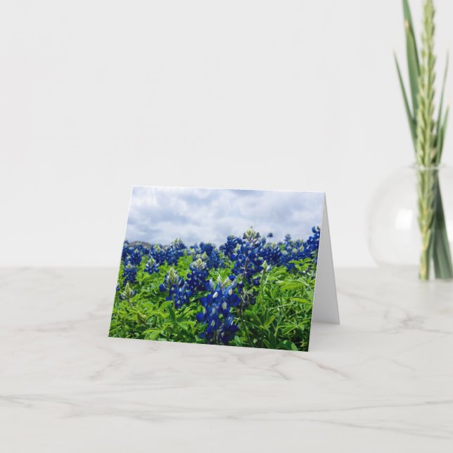 Bluebonnets Blåa blommor Texas Texan Blommigt Tack Kort (Framsida)