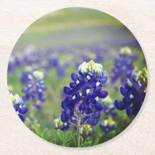 Bluebonnets Blåa blommor Texas Texan Blommigt Underlägg Papper Rund