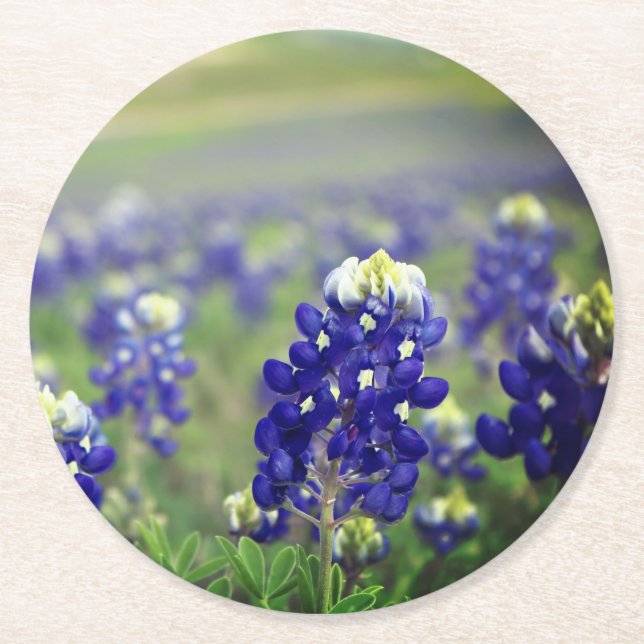 Bluebonnets Blåa blommor Texas Texan Blommigt Underlägg Papper Rund (Framsidan)