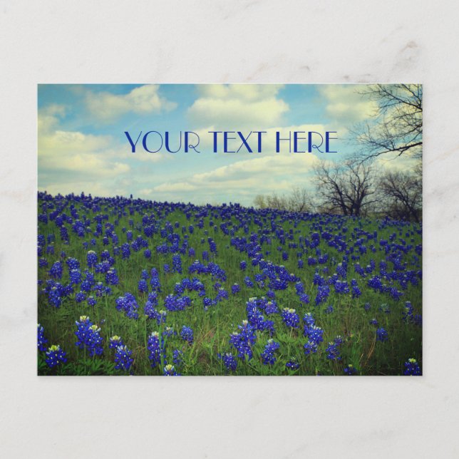 Bluebonnets Blåa blommor Texas Texan Blommigt Vykort (Framsida)