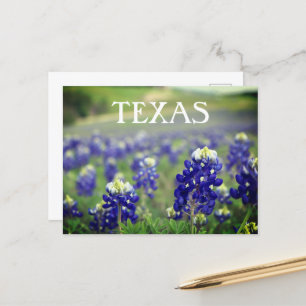 Bluebonnets Blåa blommor Texas Texan Blommigt Vykort