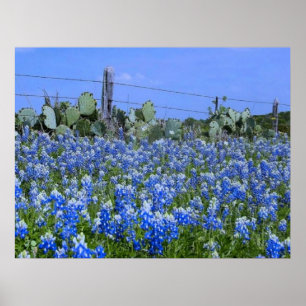 Bluebonnets för Texas backeland/kaktuskonsttryck Poster