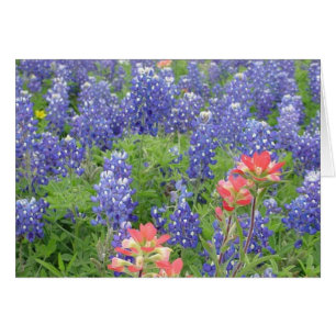 Bluebonnets Hälsningskort