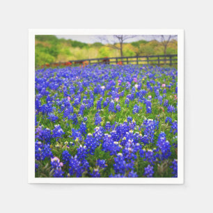 Bluebonnets i Texas Pappersservett