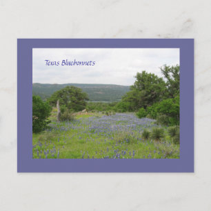Bluebonnets i Texas Vykort