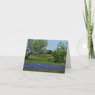 Bluebonnets och en gammal ladugård noterar kortet kort