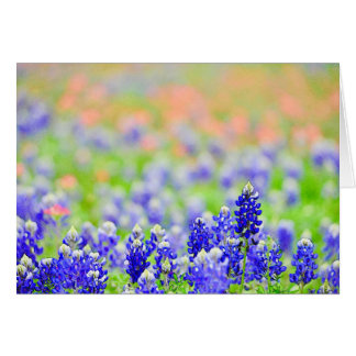 Bluebonnets på aftonen hälsningskort