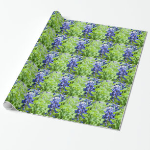 Bluebonnets Presentpapper