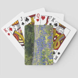 Bluebonnets, primrose och phlox spelkort