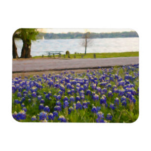 Bluebonnets vid sjön magnet